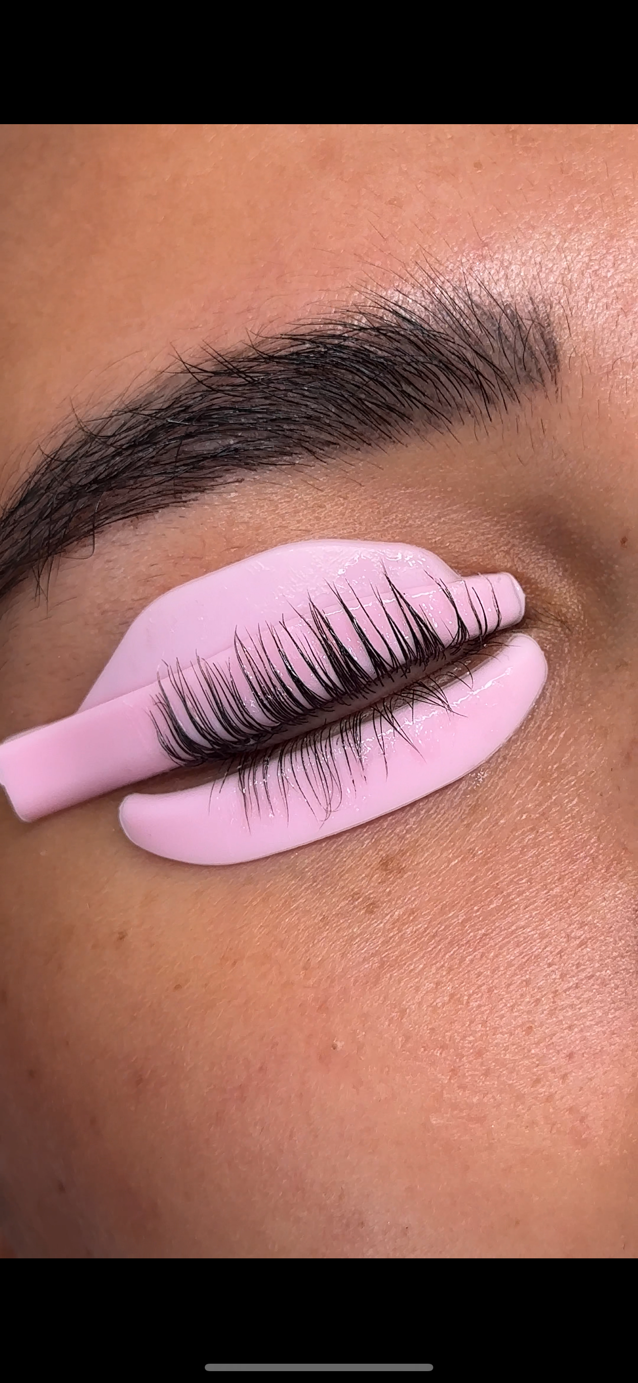 L Curl Lash Lift Shields