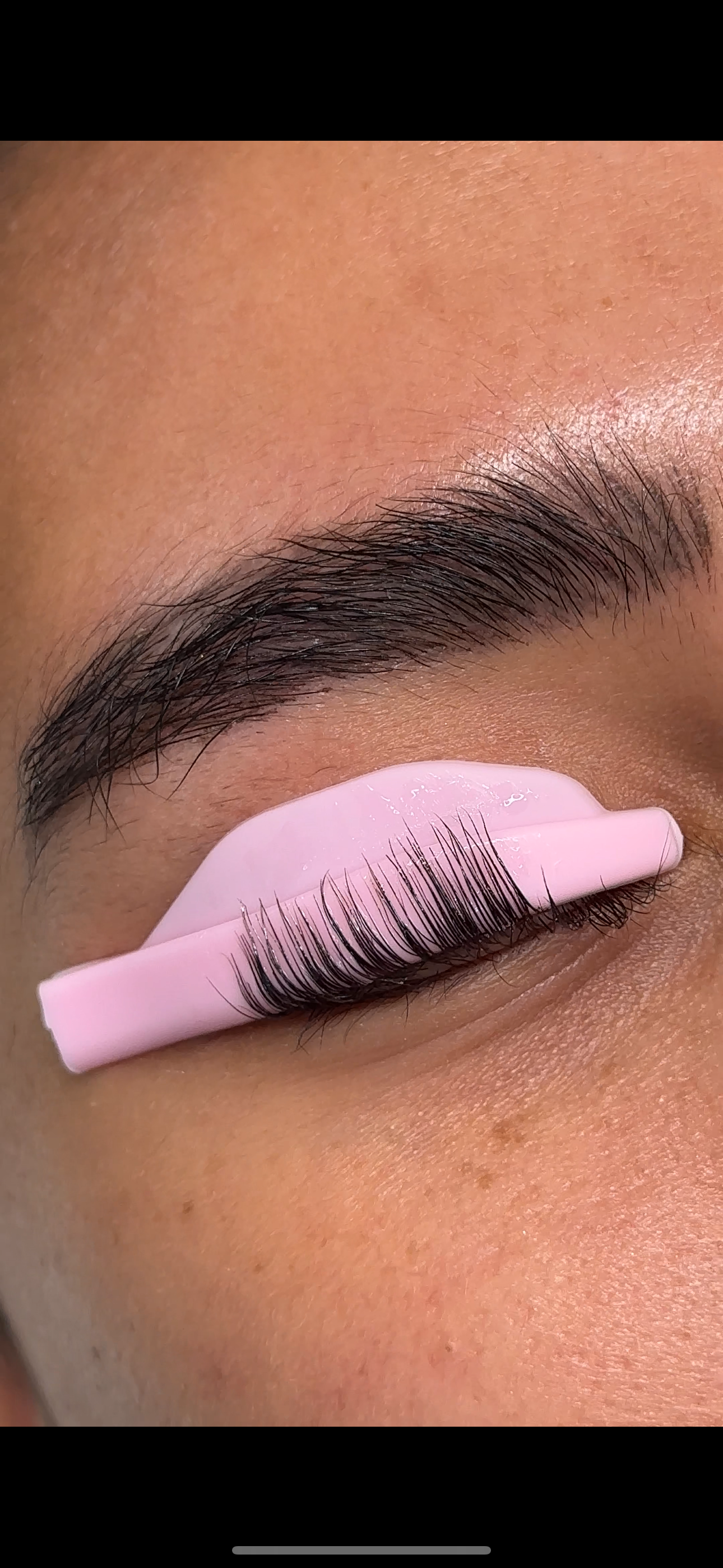L Curl Lash Lift Shields