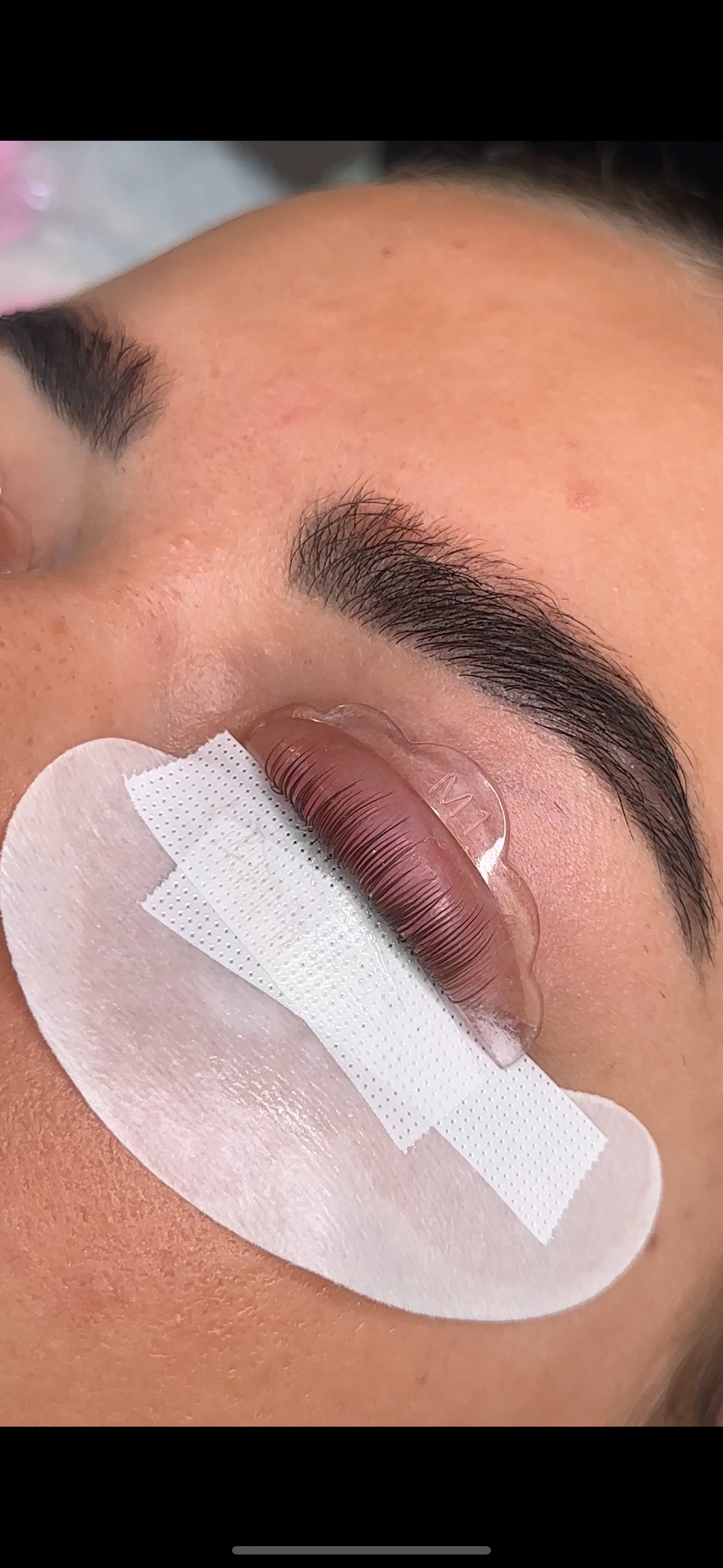 Pink Glueless Lash Shields