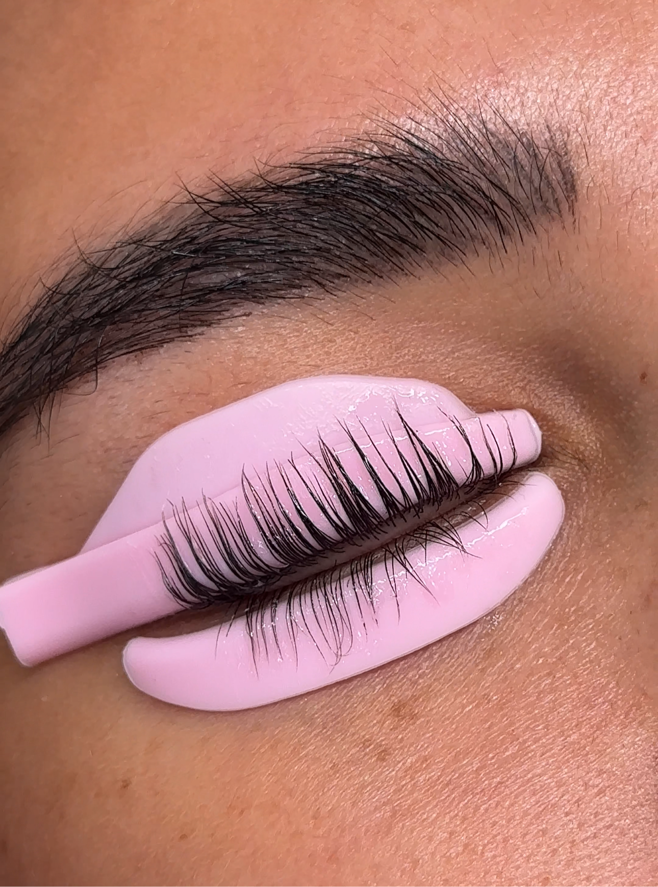 L Curl Lash Lift Shields